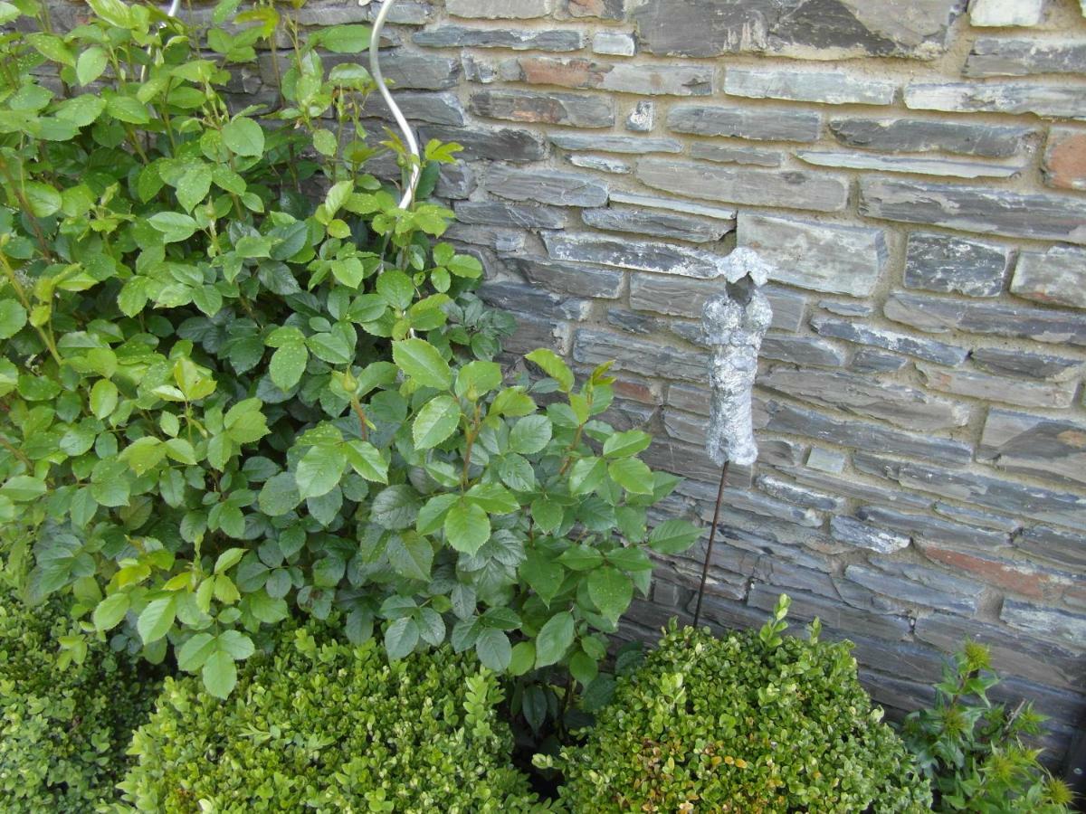 Chambre En Ardenne Graide Exterior foto